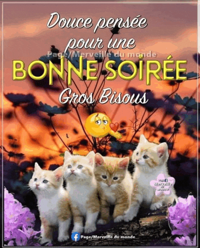 four kittens sitting next to each other with a smiley face on the bottom right