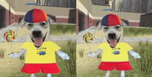 a dog wearing a yellow shirt with a minion on it