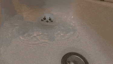 a white rubber bear is floating in a bathtub with the number 10 on its head