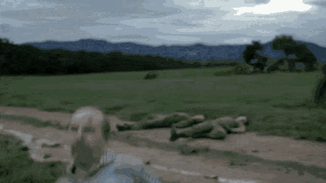 a blurred image of a field with a mountain in the background