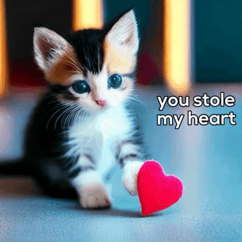 a kitten holding a red heart with the words " you stole my heart " above it