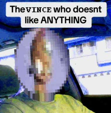 a pixelated image of a man in a car with a caption that says " the vince who doesnt like anything "