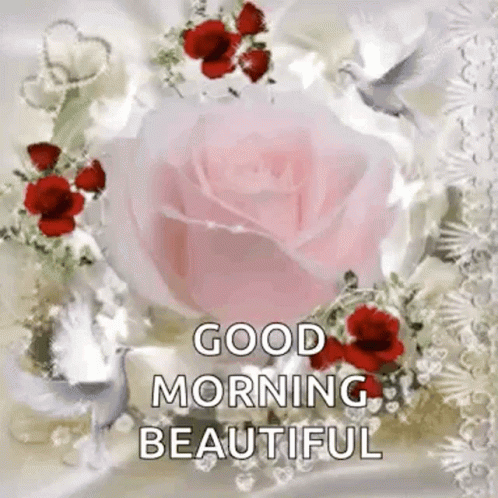 Good Morning Beautiful Sparkles GIF - Good Morning Beautiful Sparkles Flowers GIFs
