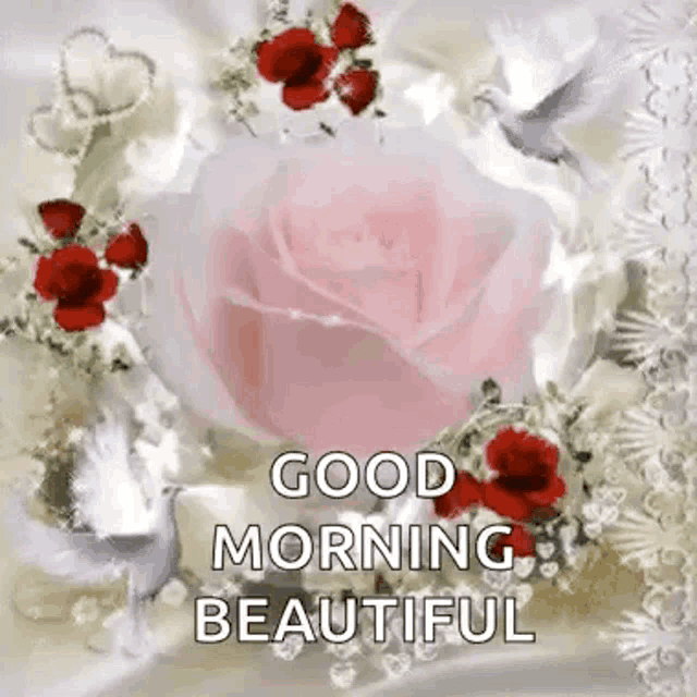 a good morning beautiful card with a pink rose and red roses