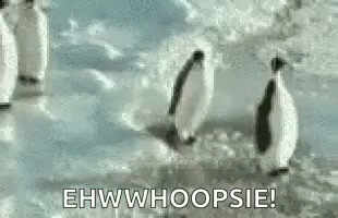 Penguin Funny GIF - Penguin Funny So GIFs