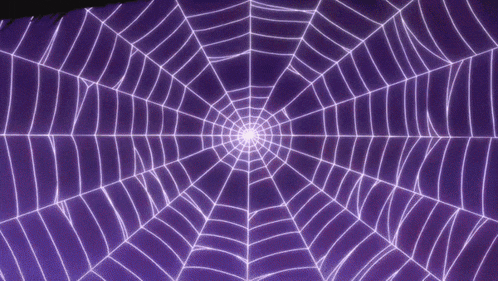 a purple spider web with a white center