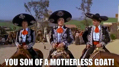 three men in mariachi costumes are riding horses with the caption you son of a motherless goat .