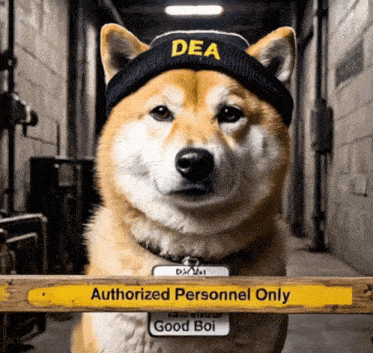 a dog wearing a dea hat is behind a sign that says authorized personnel only