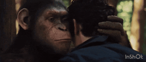 Planet Of The Apes This Is Sparta GIF - Planet Of The Apes This Is Sparta 300 GIFs