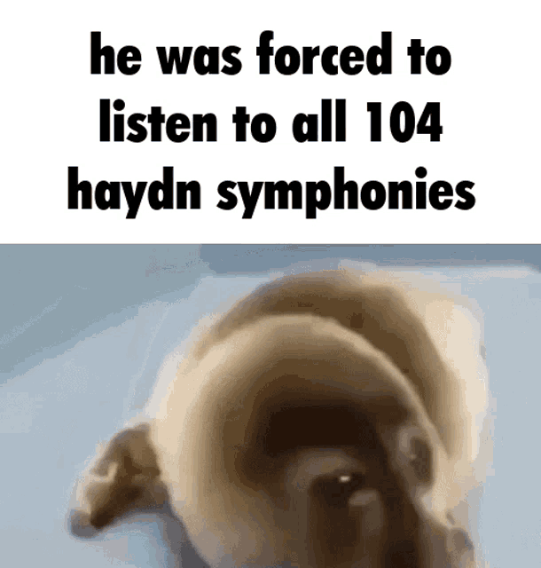 Haydn GIF - Haydn GIFs