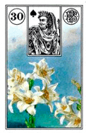 a tarot card with a picture of a king and flowers