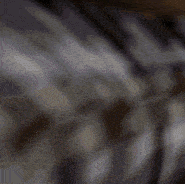 a blurred image of a book shelf with a few books in it
