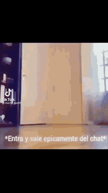 Entra Y Sale GIF - Entra Y Sale Epicamente Del Chat GIFs