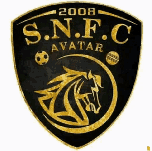 a black and gold logo for s.n.f.c. avatar