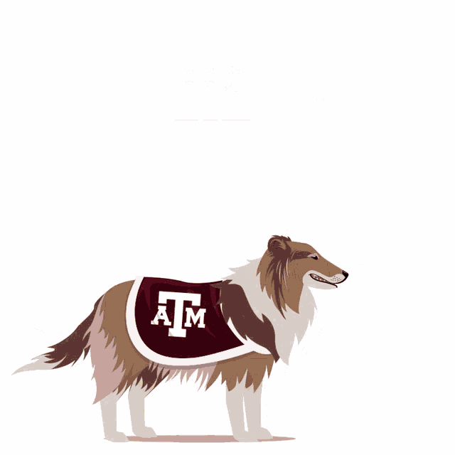a dog wearing a texas a & m athletics uniform