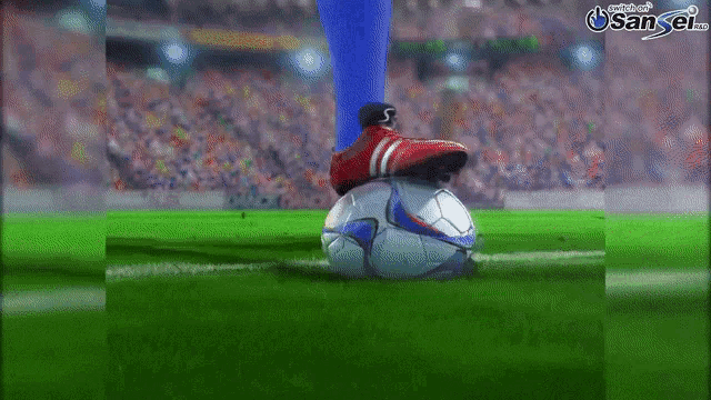 a soccer player is kicking a soccer ball on a field with the words sansel.com on the bottom right