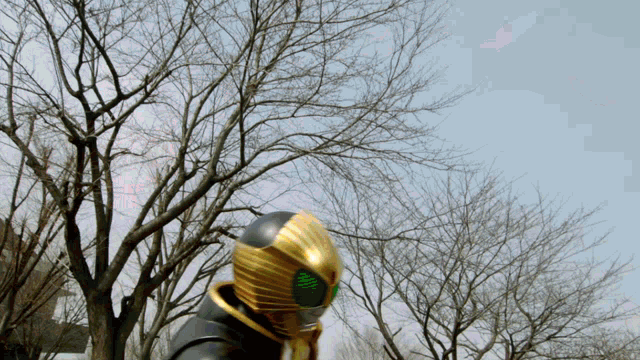 a person wearing a gold mask stands in front of a row of trees