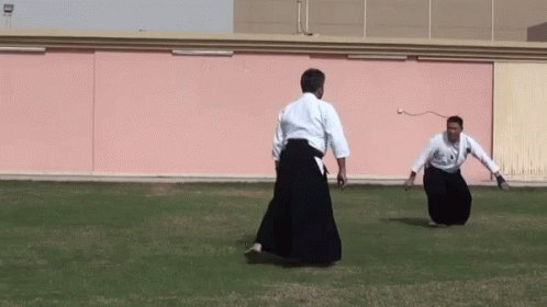 Aikido Practice GIF - Aikido Practice GIFs