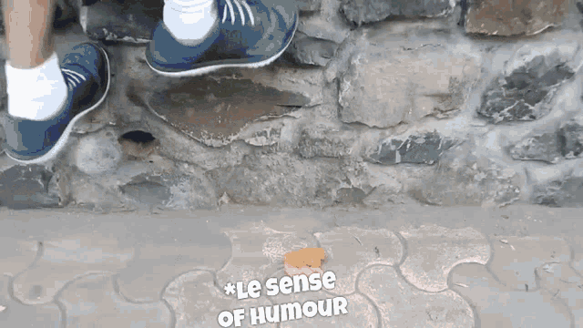 a person 's feet are standing on a stone wall with the words " le sense of humour " below them