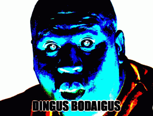 Dingus Bodaigus GIF - Dingus Bodaigus GIFs