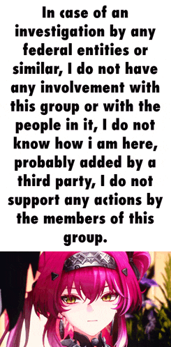 a picture of a pink haired anime girl with the words in case of an investigation by any federal entities or similar i do not have