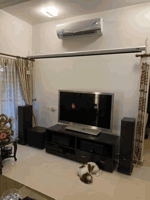 a dog laying on the floor in front of a tv