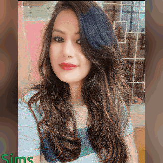 a pixelated image of a woman with the word sims in the lower right corner