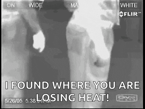 a black and white photo of a cow with the words `` i found where you are losing heat ''