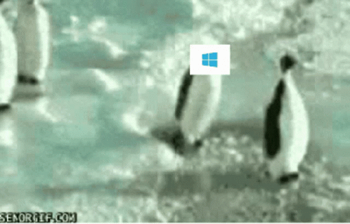Linux Linux Is Better GIF - Linux Linux Is Better Why Linux Is Better GIFs