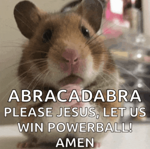 a hamster with the words abracadabra please jesus let us win powerball