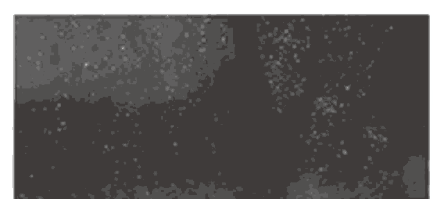a black background with white dots on it