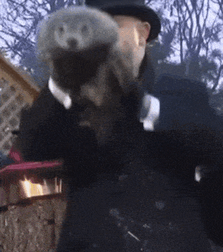 a man in a top hat is holding an otter in his hands .