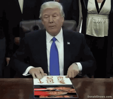 President Trump GIF - President Trump Donald GIFs
