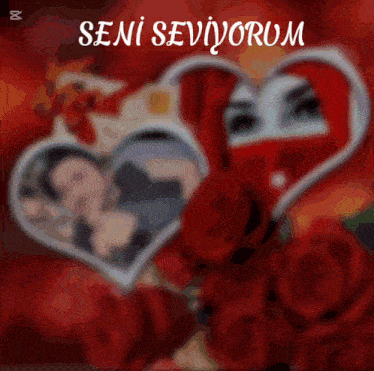 a blurred image of a heart with the words seni seviyorum