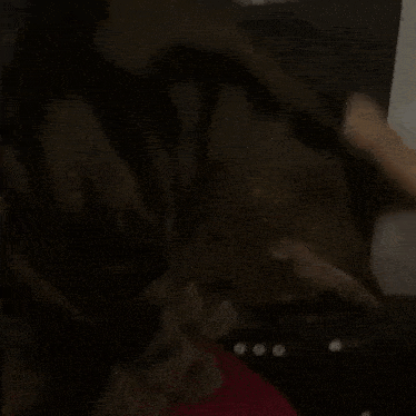 a cat playing a drum set with a drum stick that says rock