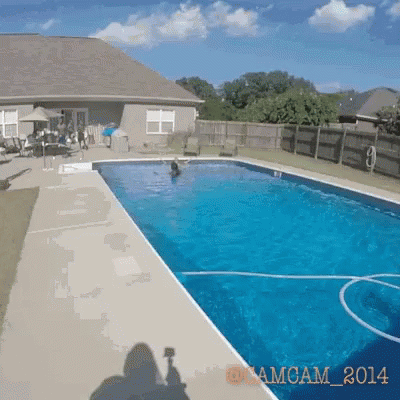Cam Cam2014 Dive In GIF - Cam Cam2014 Dive In Pool GIFs