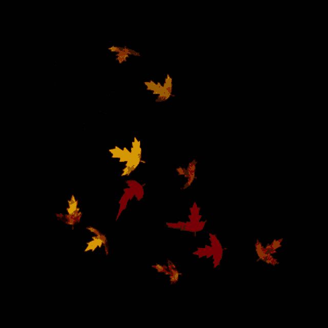 autumn leaves falling on a black background