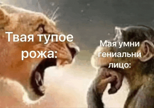 a lion and a monkey are looking at each other with a caption in russian