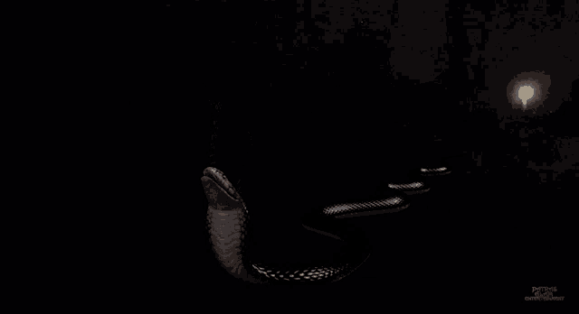 a snake is crawling in the dark with a light behind it that says python
