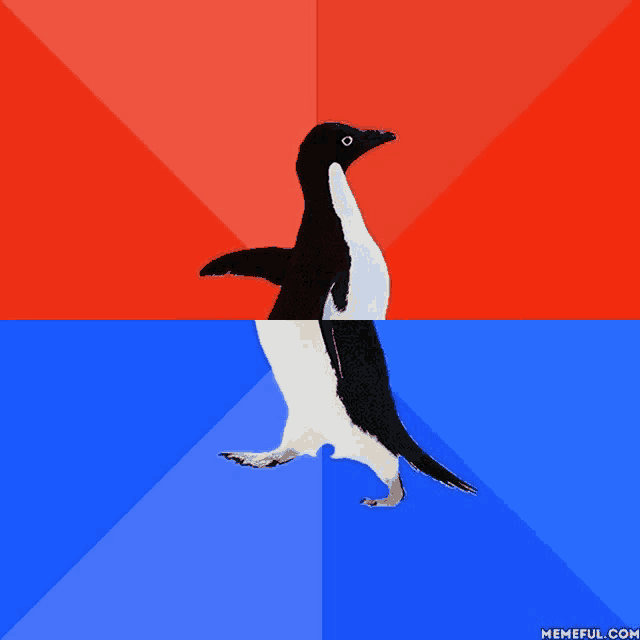 a black and white penguin on a red and blue background with memeful.com at the bottom