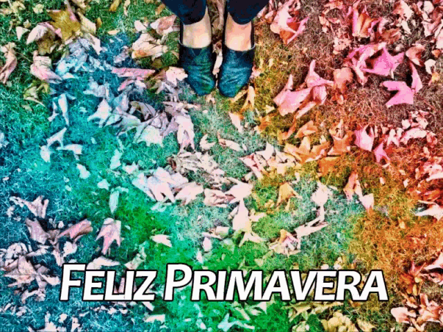 a picture of a person standing in a field of leaves with the words feliz primavera below them