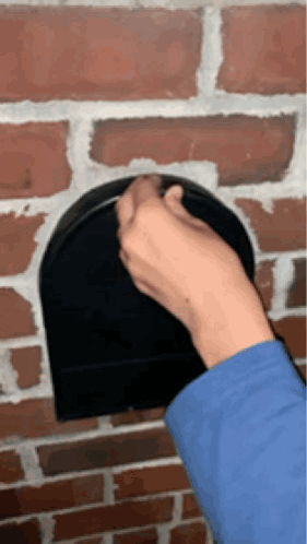Frogs Mailbox GIF - Frogs Mailbox GIFs