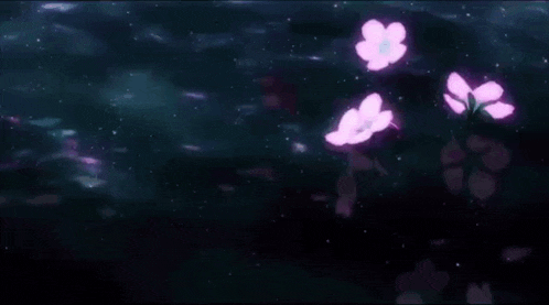 a bunch of pink flowers are floating on top of a dark water surface .