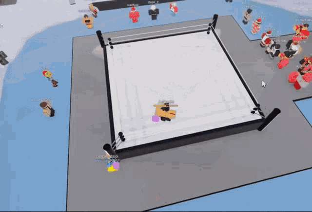 a wrestling ring in a video game with a person in a purple shirt standing in it