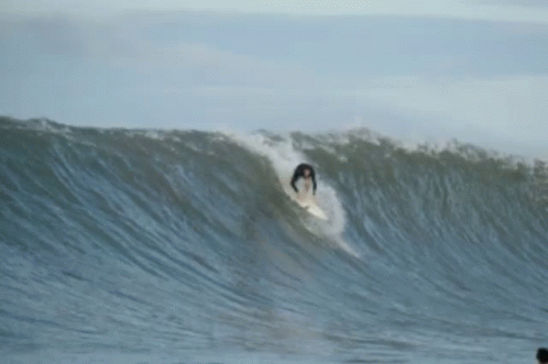 Wave Barrelled GIF - Wave Barrelled Surf GIFs