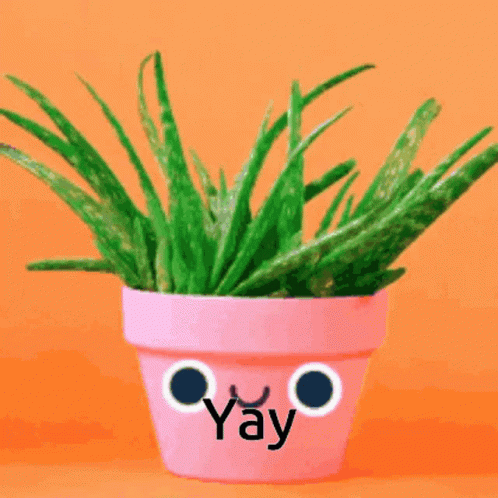 Yay Happy GIF - Yay Happy Plant GIFs