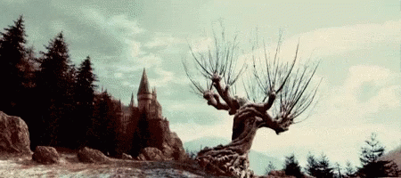 Tree Whomping Willow GIF - Tree Whomping Willow Harry Potter GIFs