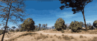 a dirt road going through a desert with trees in the background