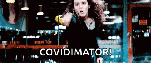 Harrypotter Hermionegranger GIF