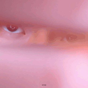 a close up of a person 's eyes with a pink background and the name annejj on the bottom